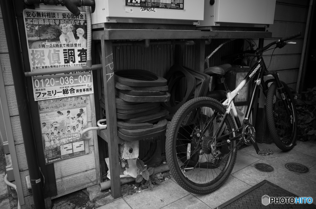 Noge Street Snap #11