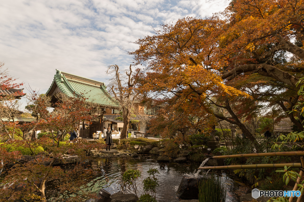 鎌倉紅葉散策@2018 長谷寺-1