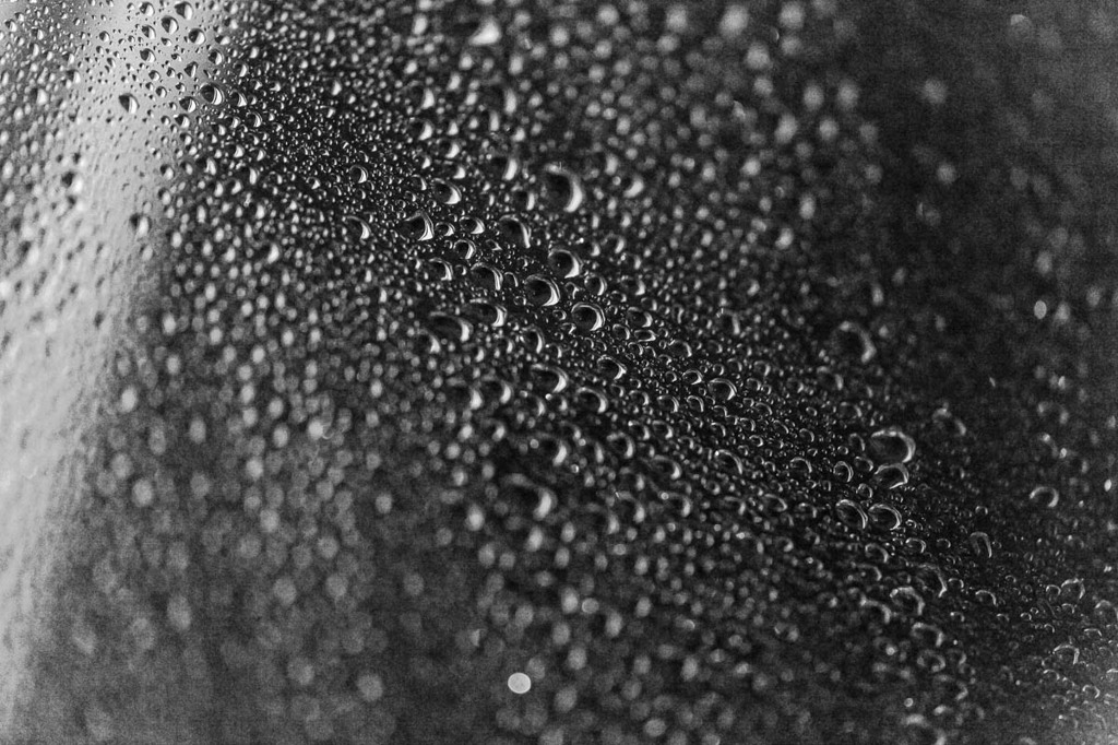 梅雨を楽しむ