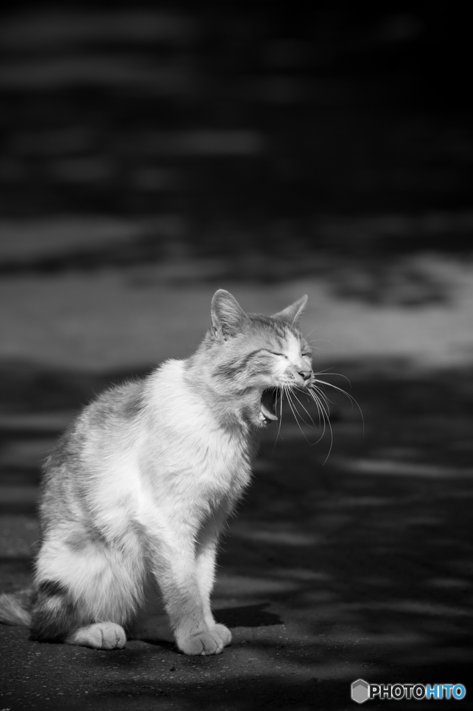 ふぁぁぁぁぁ