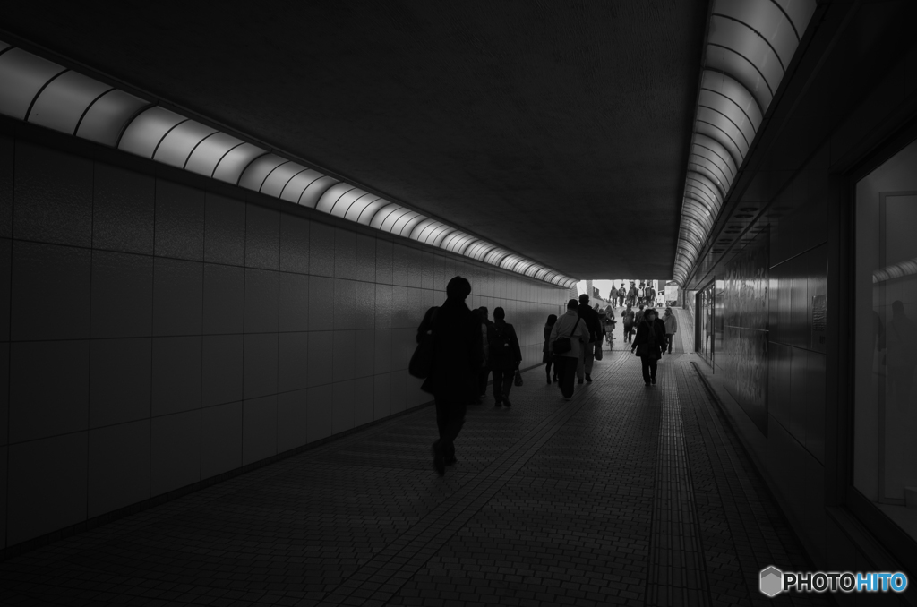 Kamakura snap #14