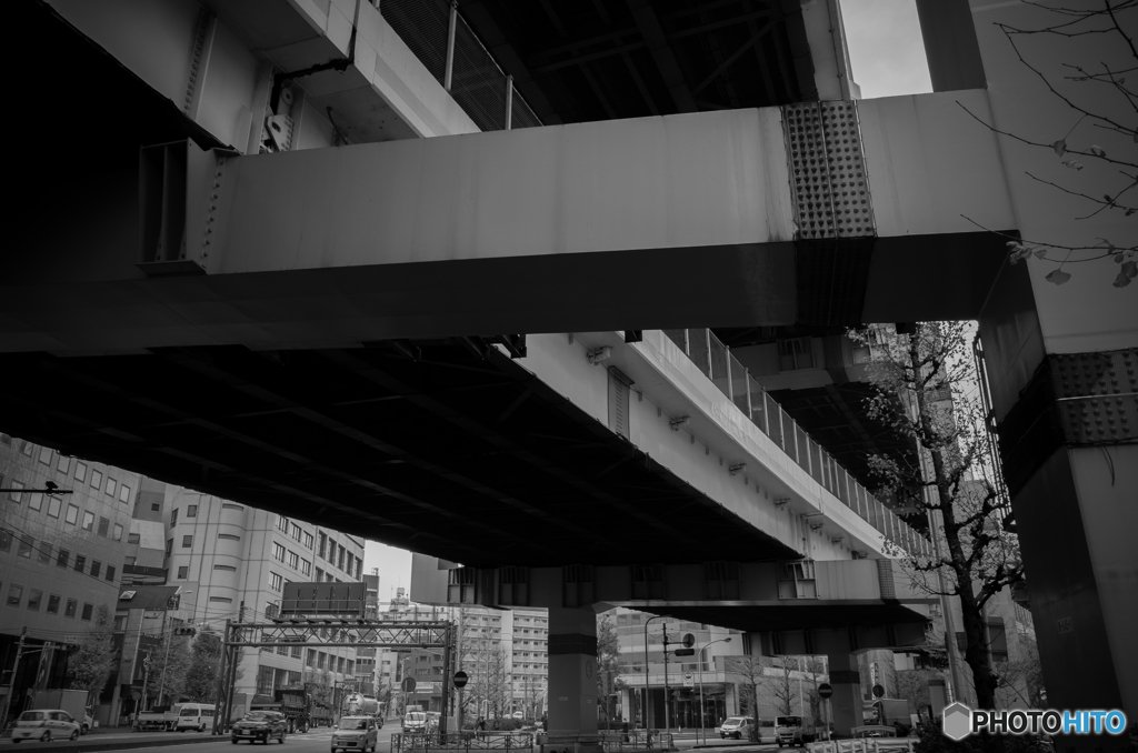 Yokohama Snap #10