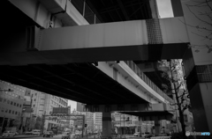 Yokohama Snap #10