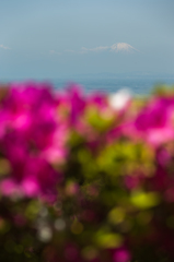 地元富士山巡り