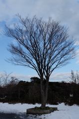 嵐の後3