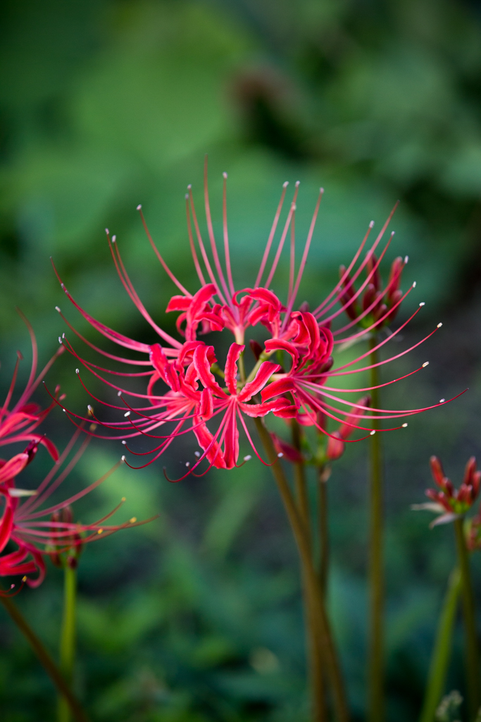 暑さ寒さも・・・