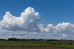 夏空