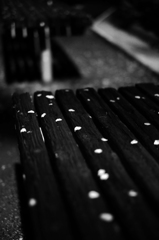 散り際の美学 2