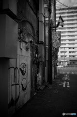 Dobuita Street Snap #15