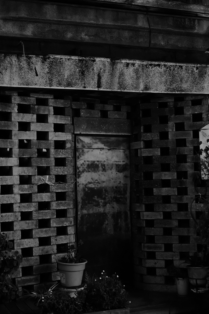 Back alley of Yokohama 15