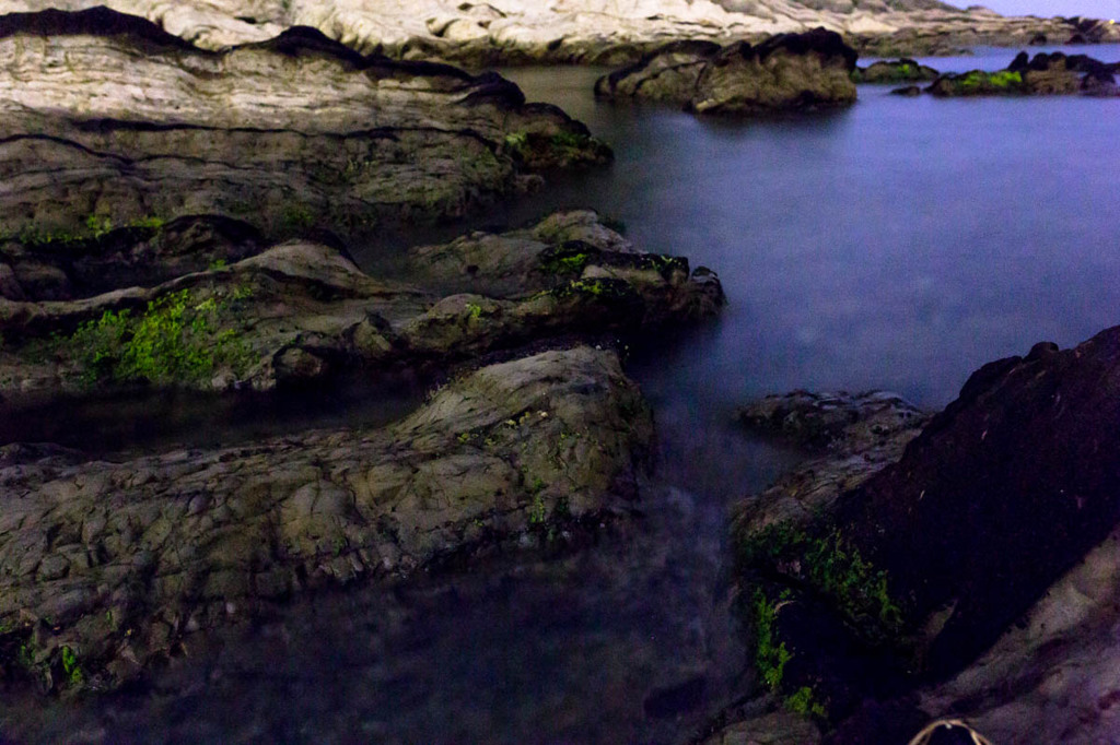 深夜の荒崎散策
