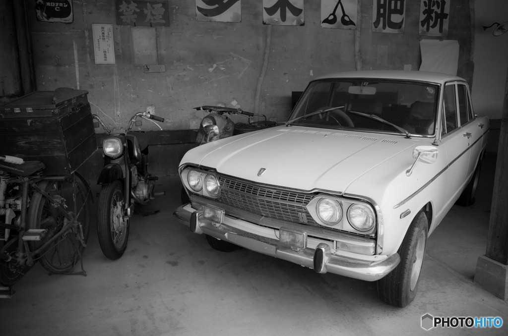 Old-timer #3