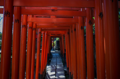 根津神社散策 3