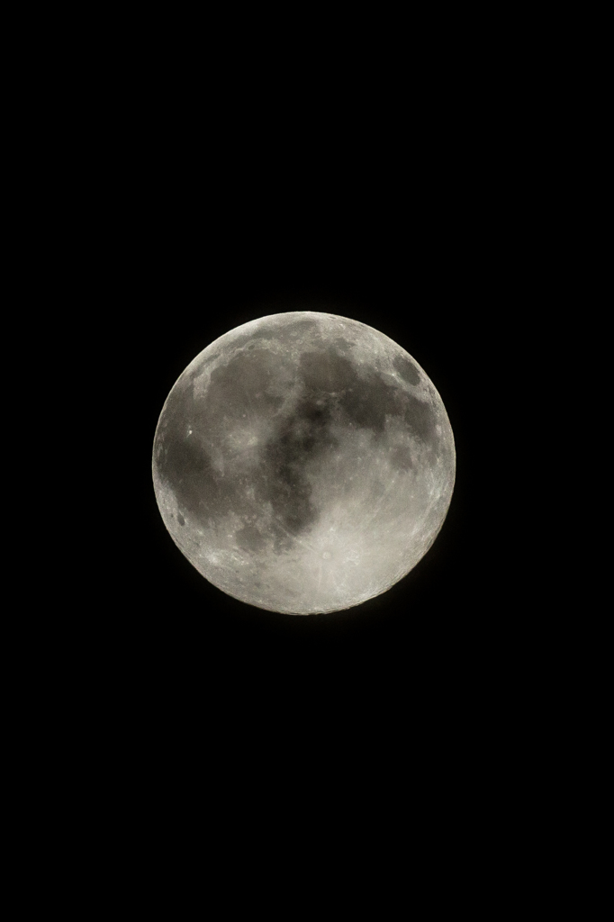 a night with a full moon