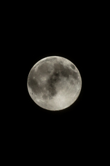 a night with a full moon