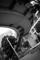 横浜スナップ 7