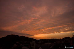 子守当番の夕景