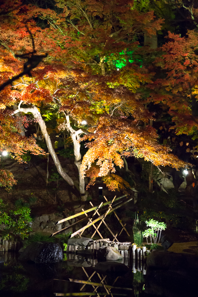 鎌倉長谷寺　紅葉ライトアップ12