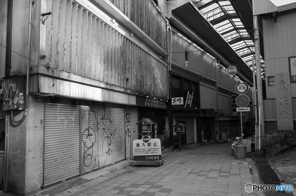 撮り納めSnap #6