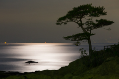 moonlight