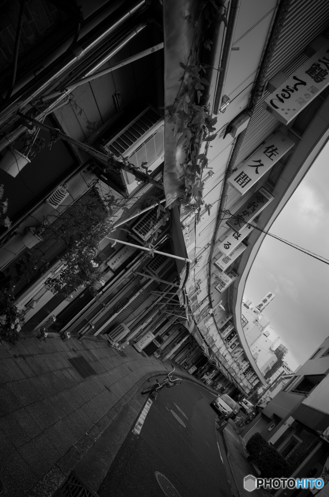 Noge Street Snap #23