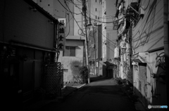 Mito St Snap #12