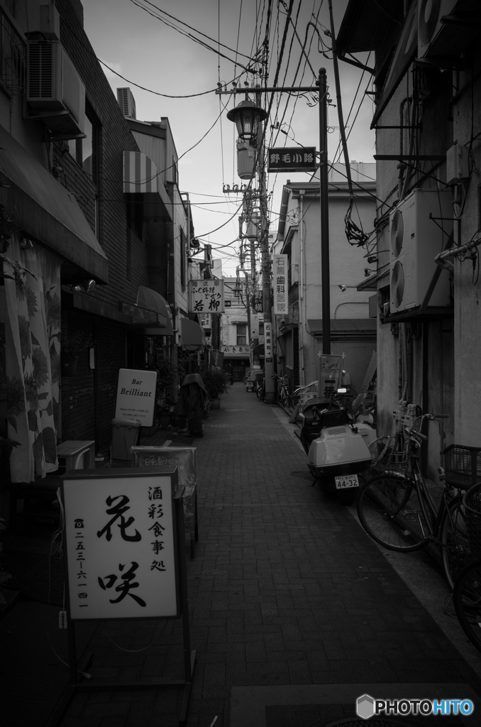 Noge Street Snap #19