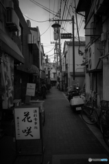 Noge Street Snap #19