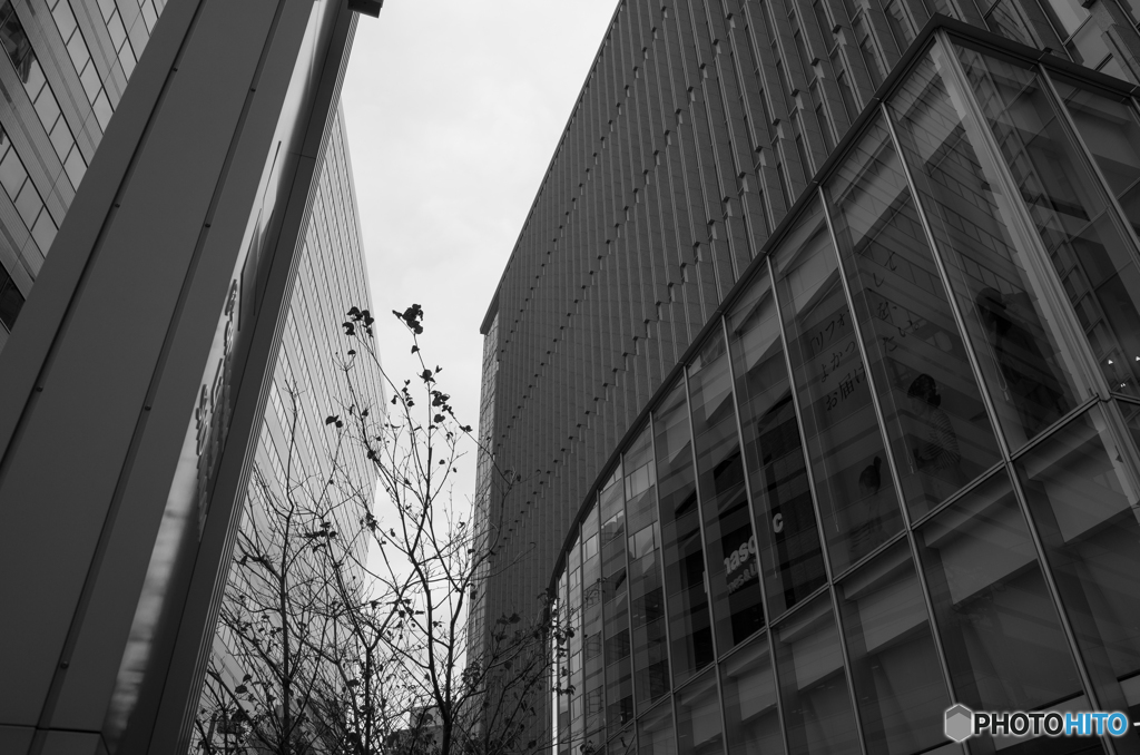 Yokohama Snap #1