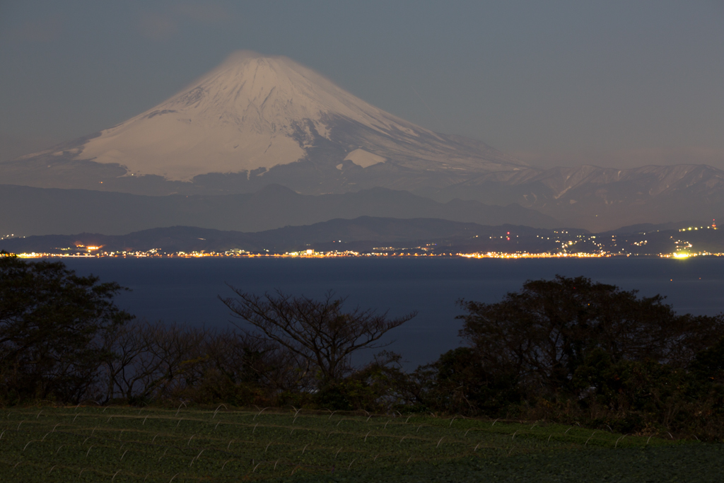 SP 150-600mm F/5-6.3 Di VC USD試写4