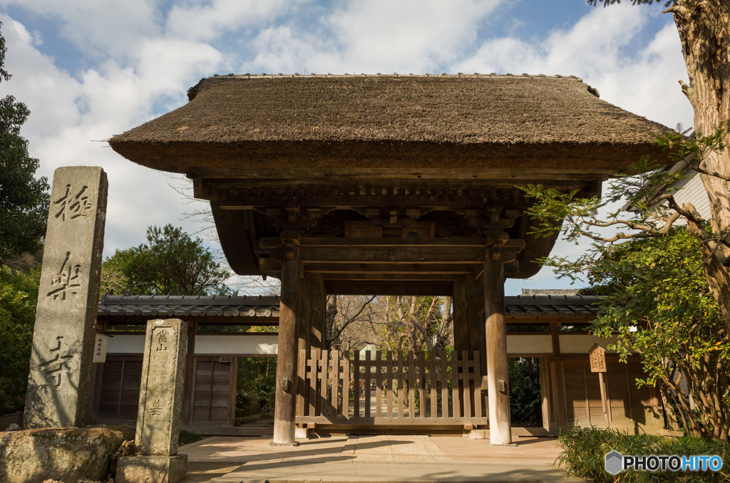 Kamakura snap #3