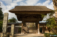 Kamakura snap #3