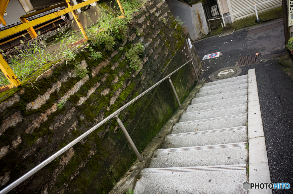 Meidaimae snap #2