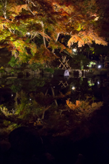 鎌倉長谷寺　紅葉ライトアップ10