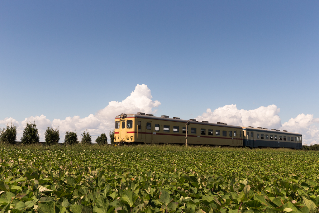 鉄道風景 7