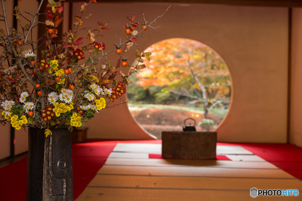 鎌倉紅葉散策@2018 明月院-1