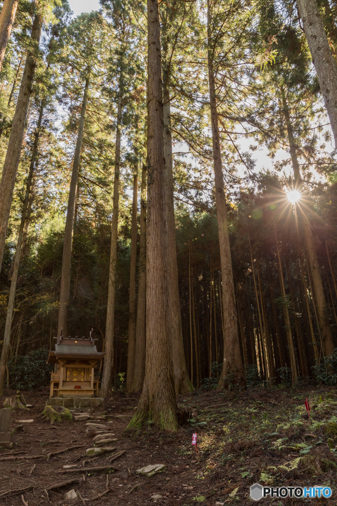 薩都神社中宮