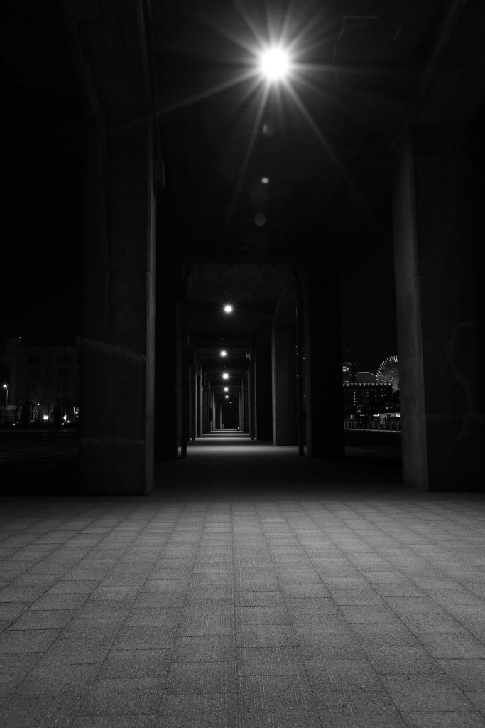 お正月の横浜散策　夜編6