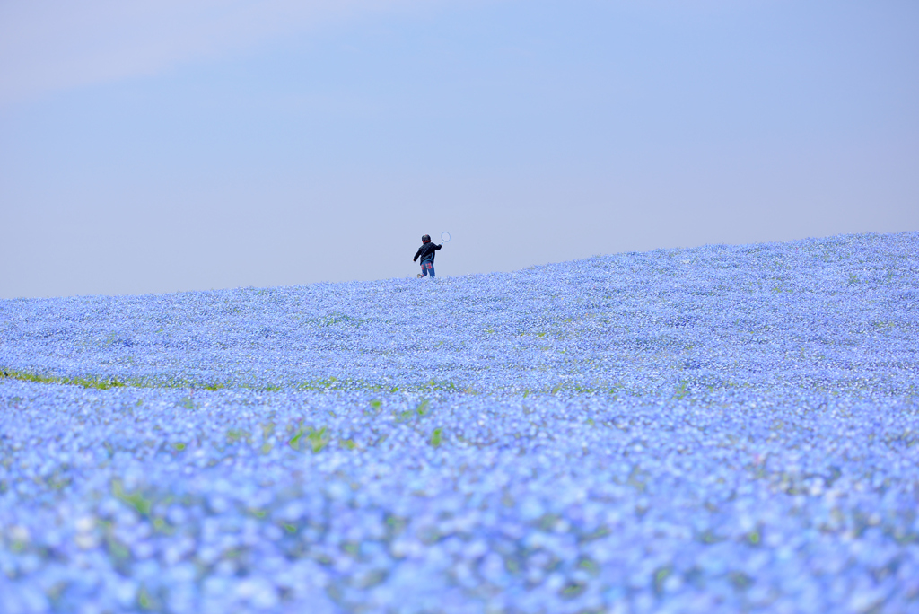 駆ける