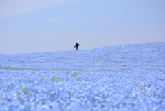 駆ける
