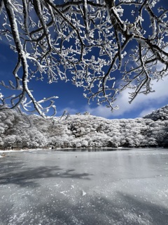 雪景