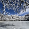 雪景