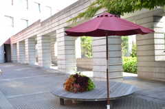 絆