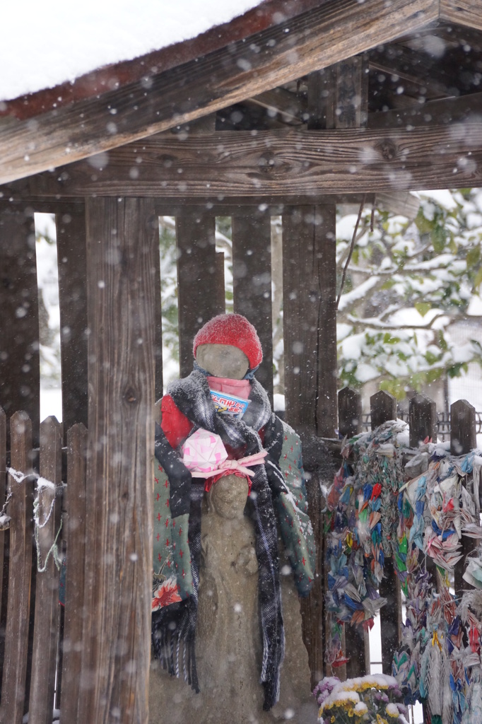 雪が降っても