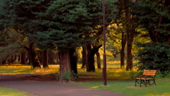 午後の公園セット