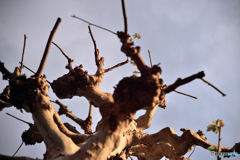 宙舞台 「万歳」