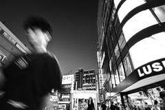 ゆきかい