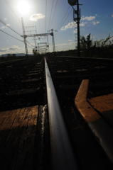 鉄の道に映る~奈良線