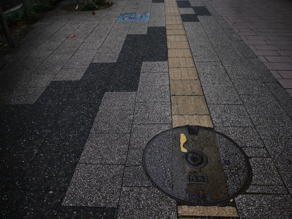 街の雨跡