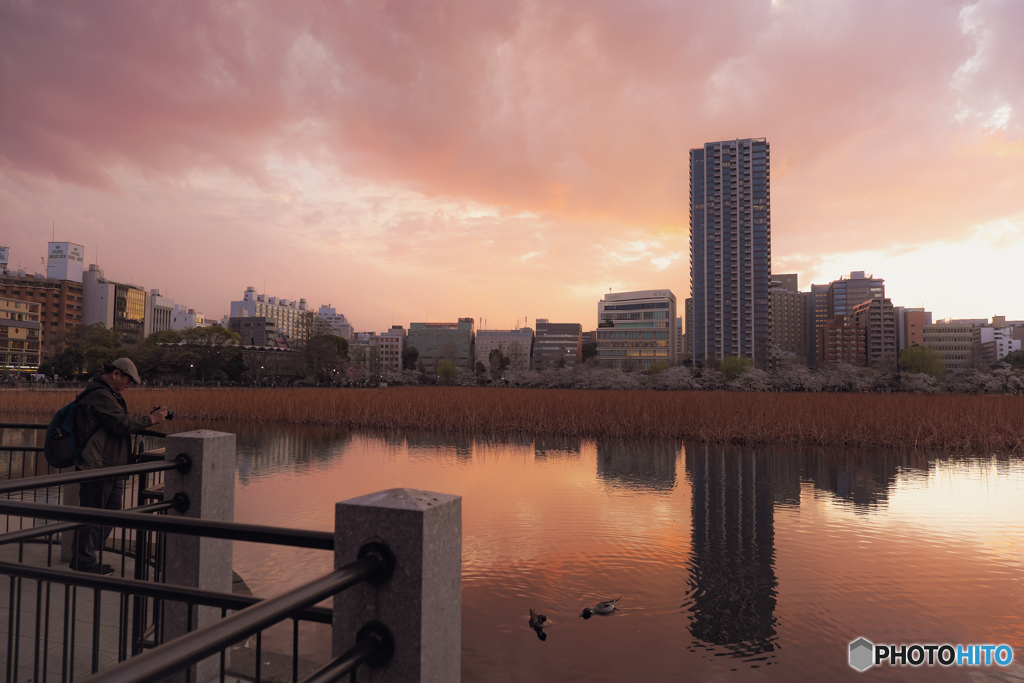 街は華やぎ 池は静か